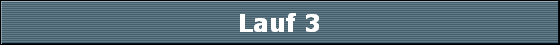 Lauf 3